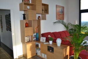 bibliothèque-séparant-le-salon